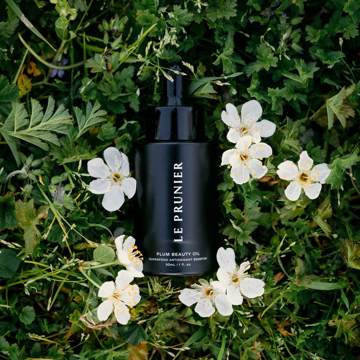Le Prunier Beauty Oil