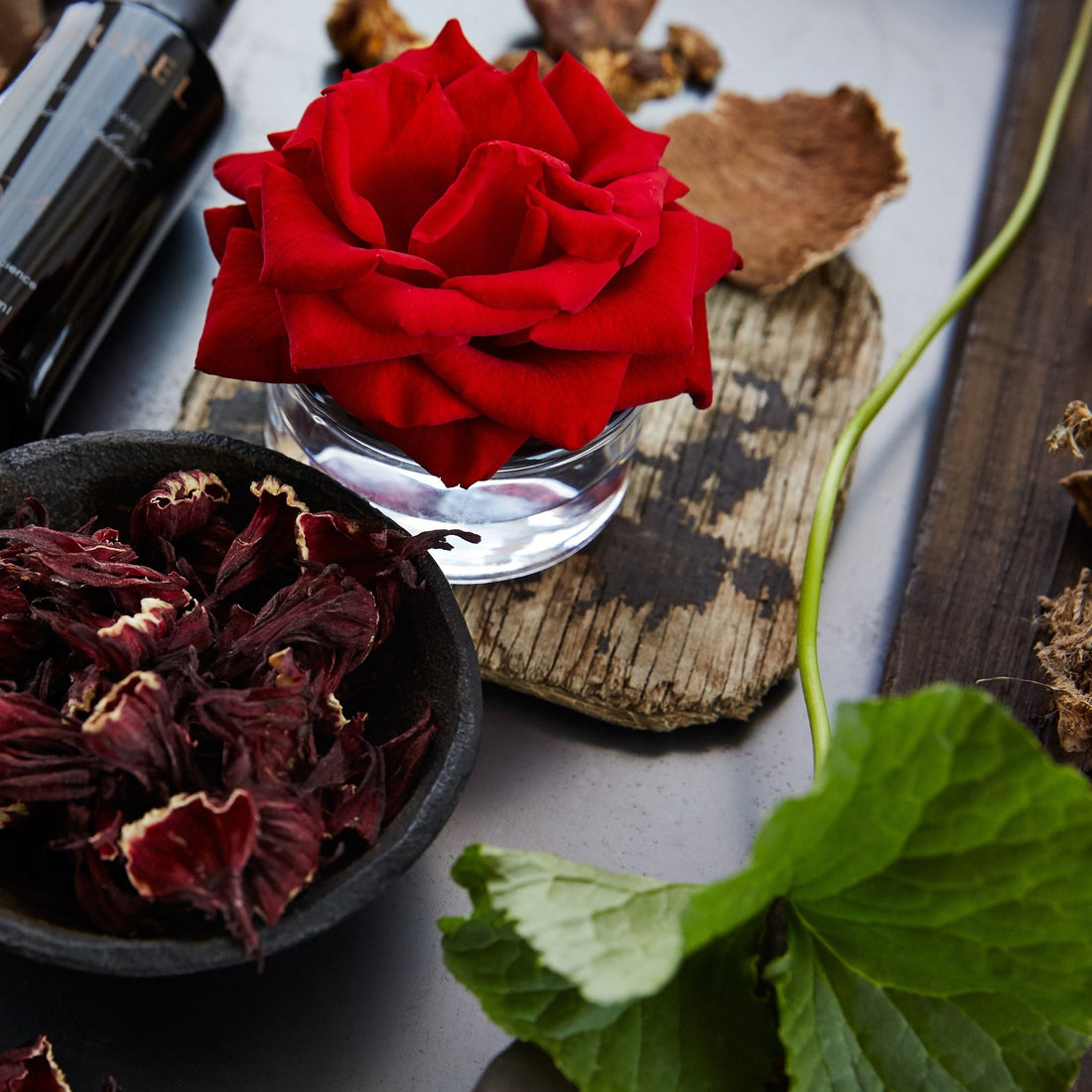 Hydrating Elixir I Phytonutrient Replenish - Laurel Skin