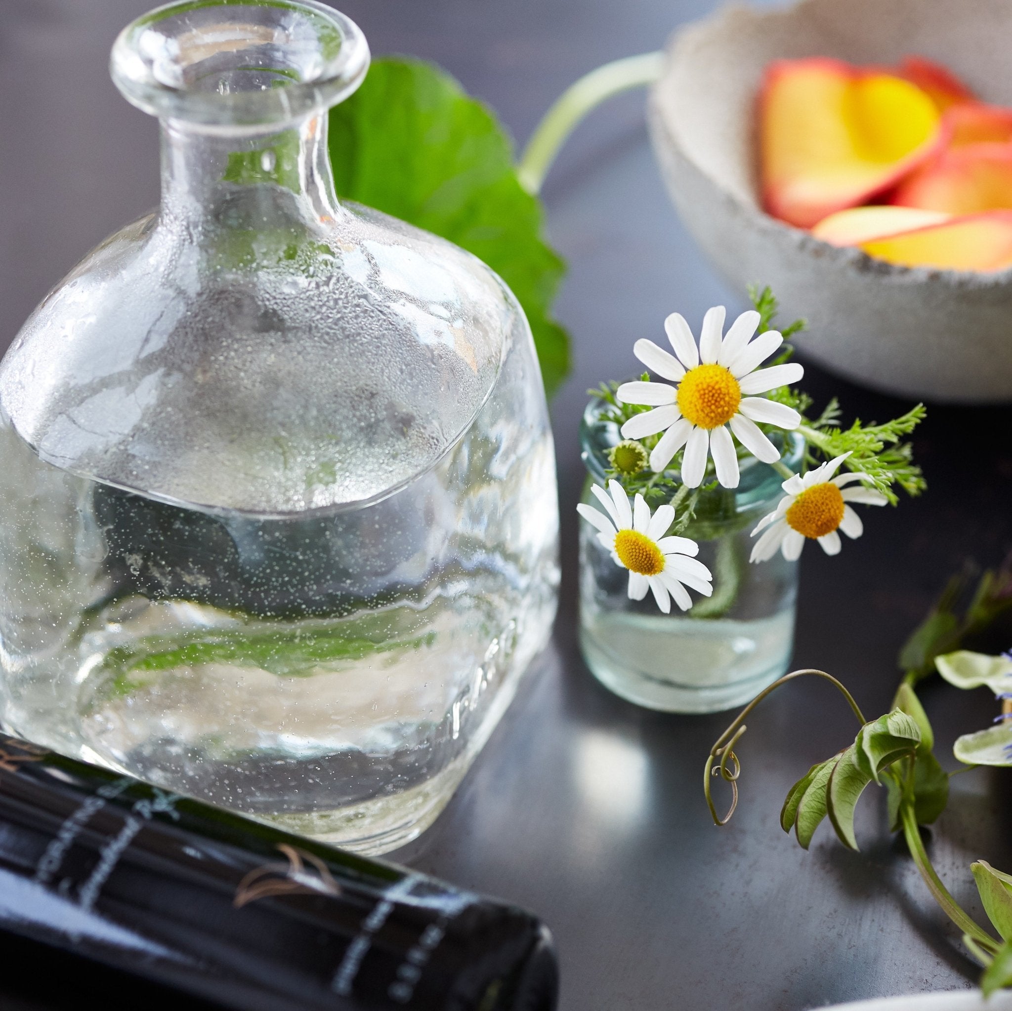 Hydrating Elixir II Support + Recover - Laurel Skin