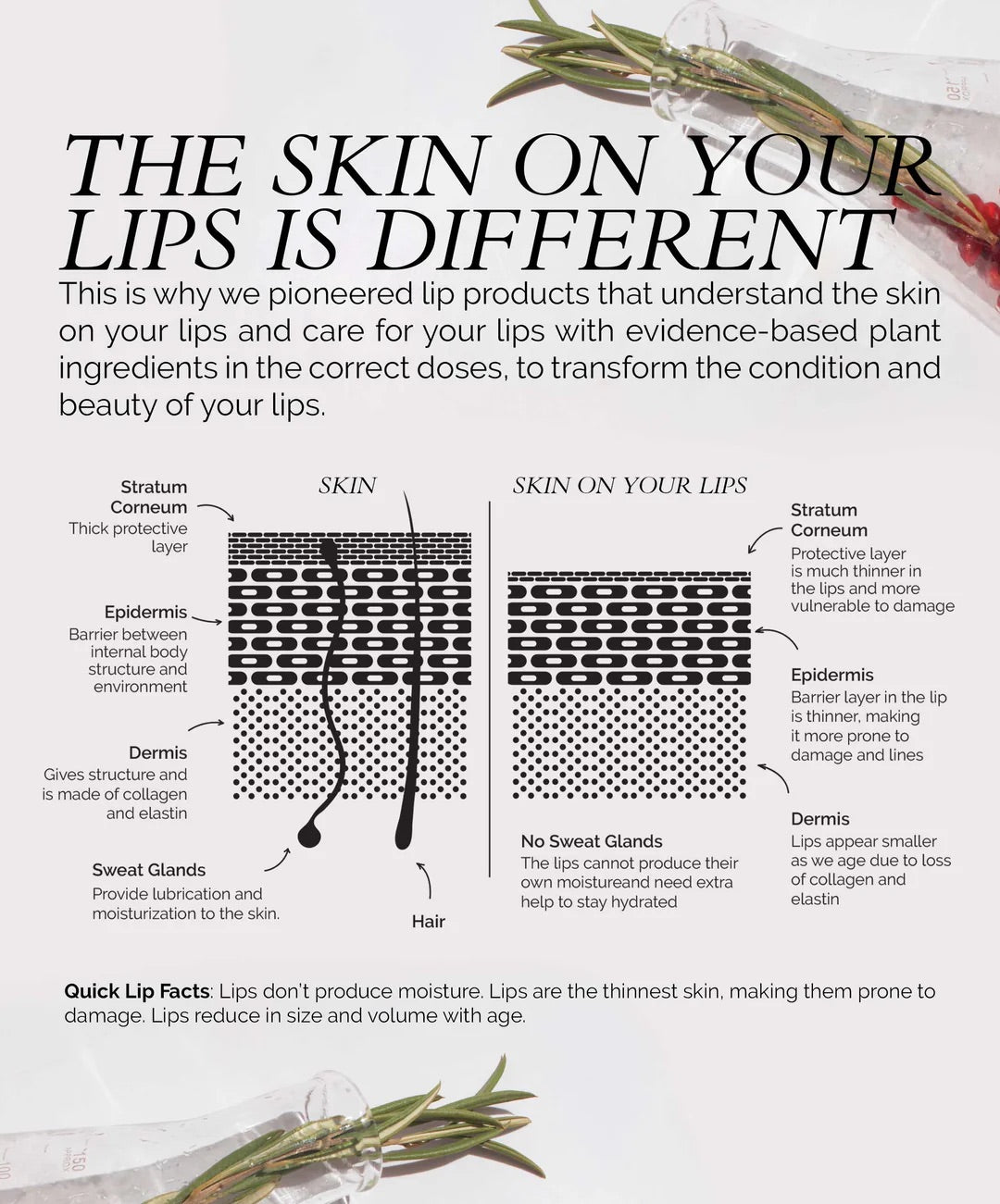 Lip Colour Serum - Go Fitglow Beauty