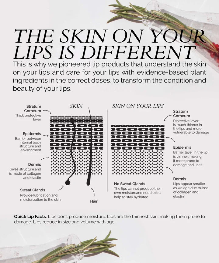 Lip Colour Serum - Root Fitglow Beauty