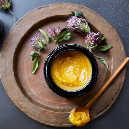 Day Balm Brilliant Cellular Defense - Laurel Skin
