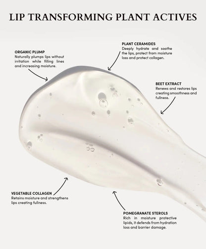 Night Lip Serum Fitglow Beauty
